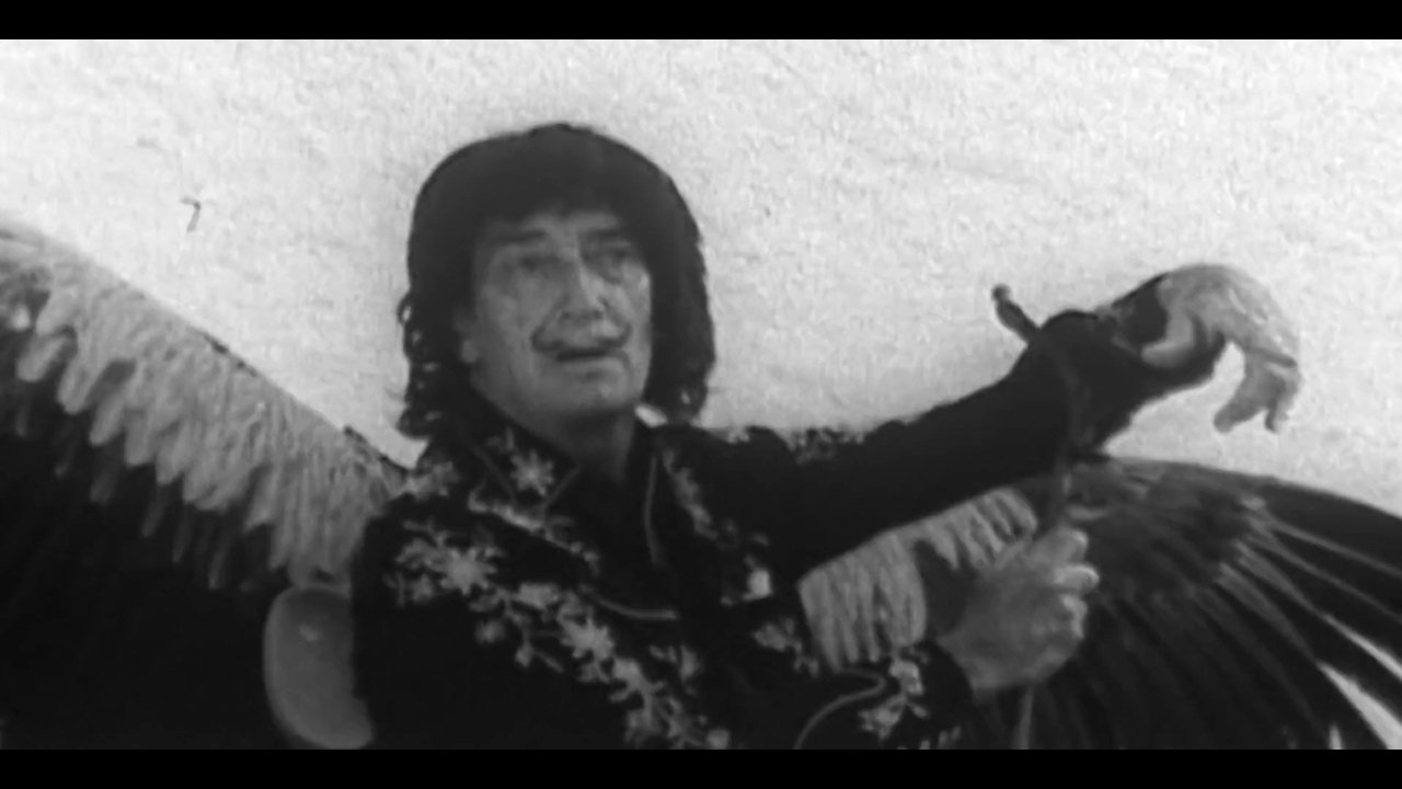 Salvador Dalí: Génie tragi-comique backdrop