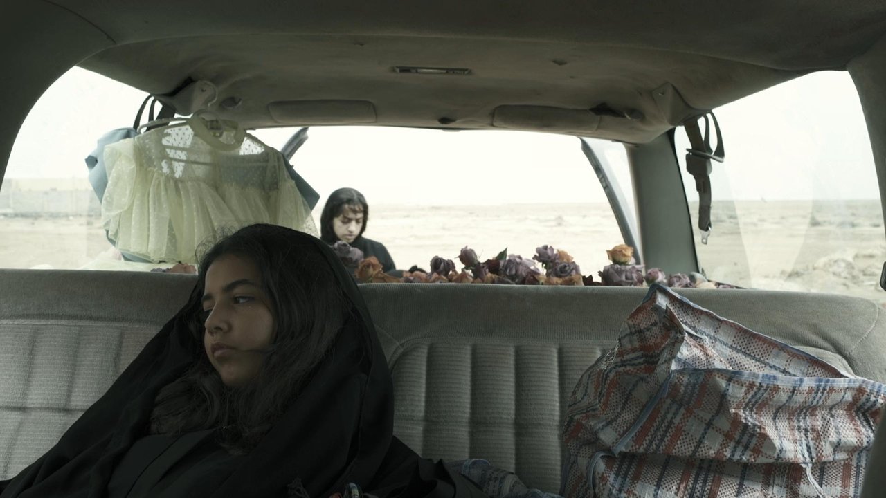 The Girls who Burned the Night backdrop