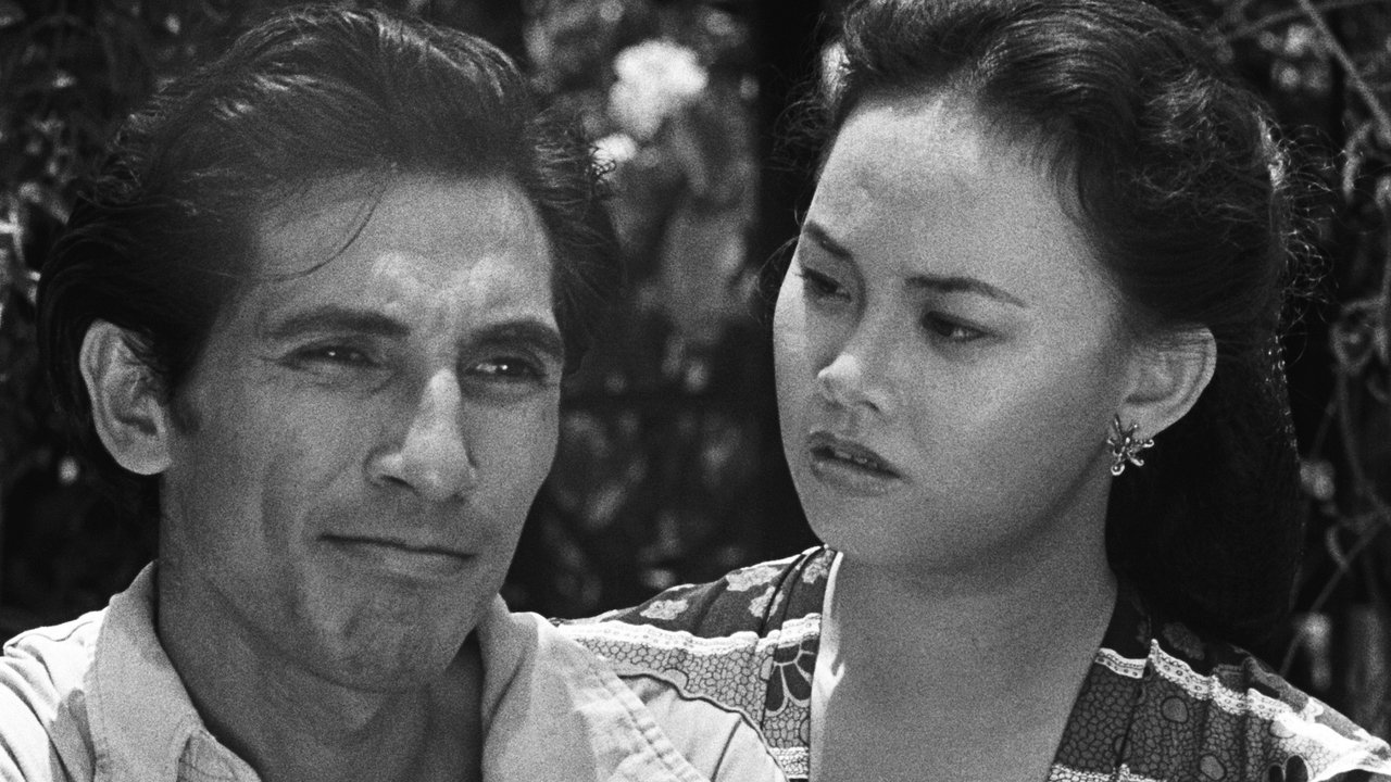 After the Curfew backdrop