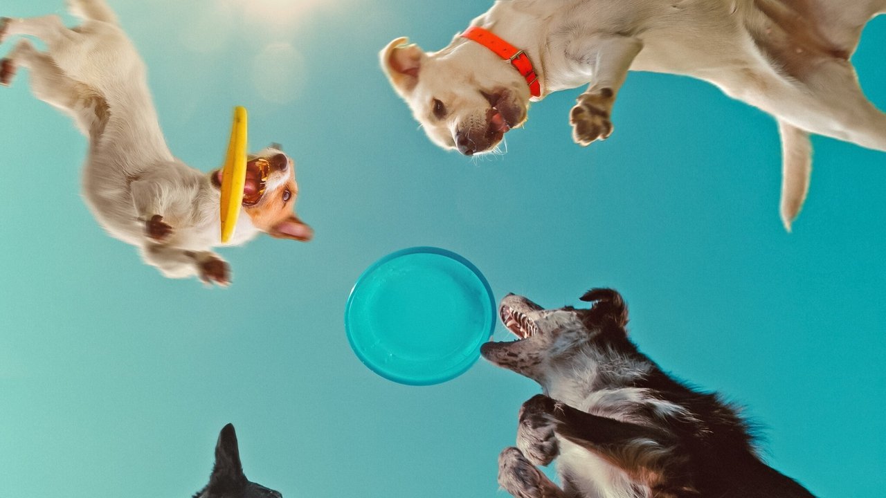 Inside the Mind of a Dog backdrop