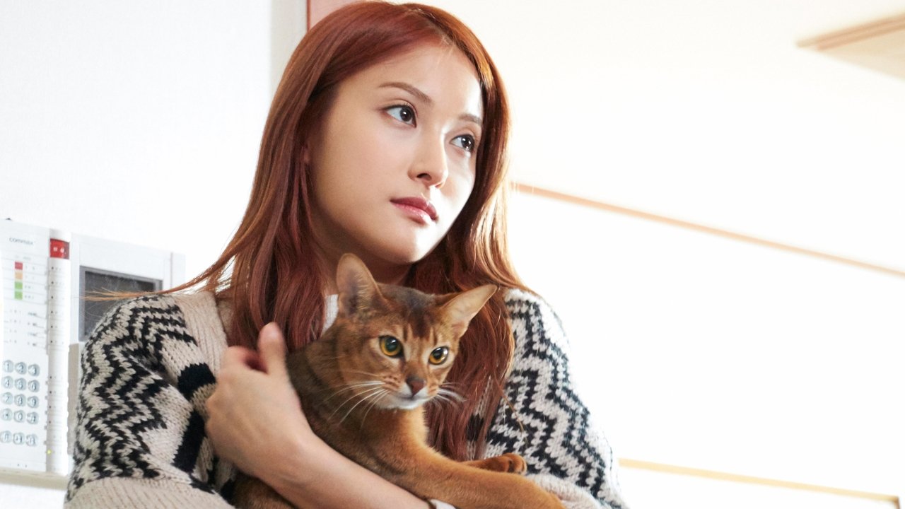 How to Break up with My Cat backdrop