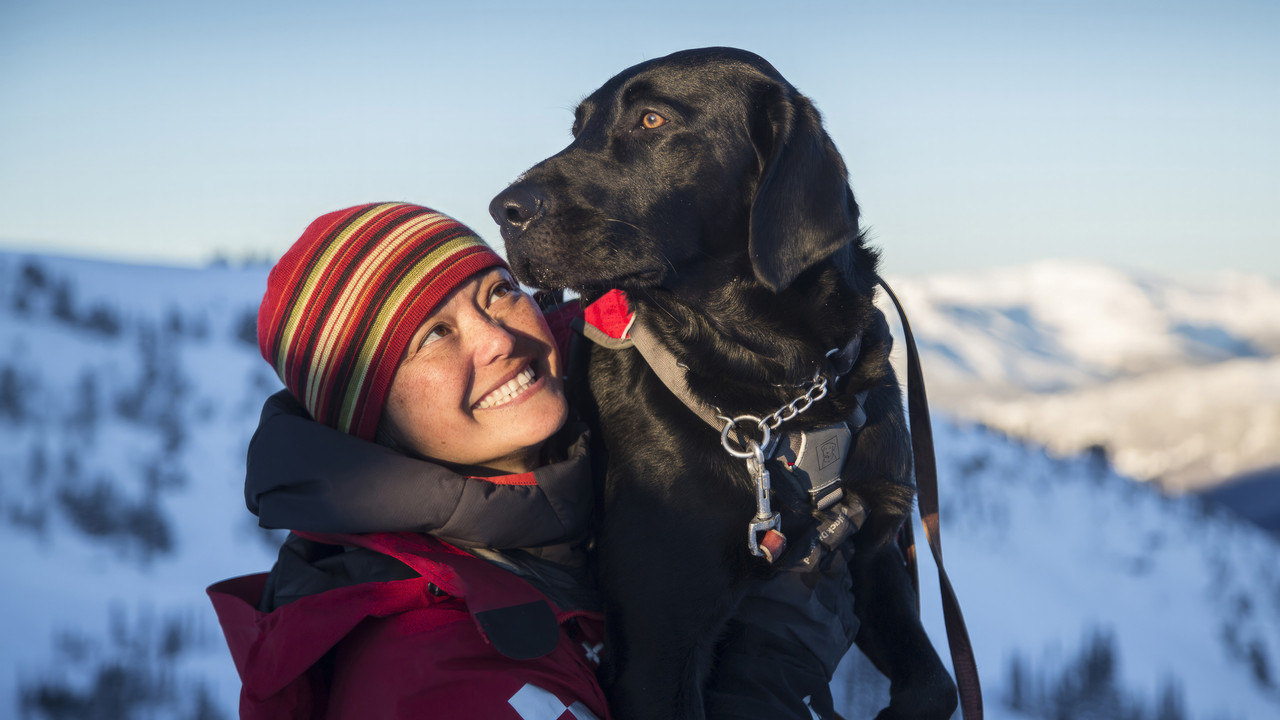 Superpower Dogs backdrop