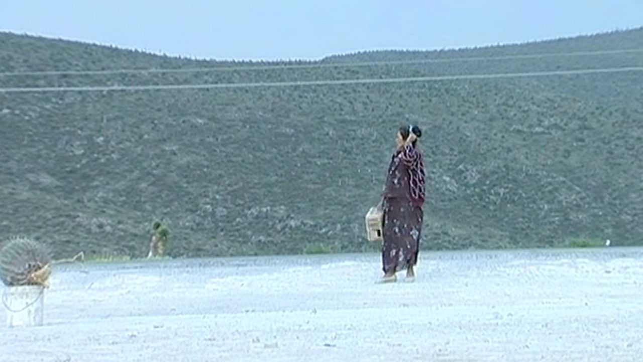 Tropic of Cancer backdrop