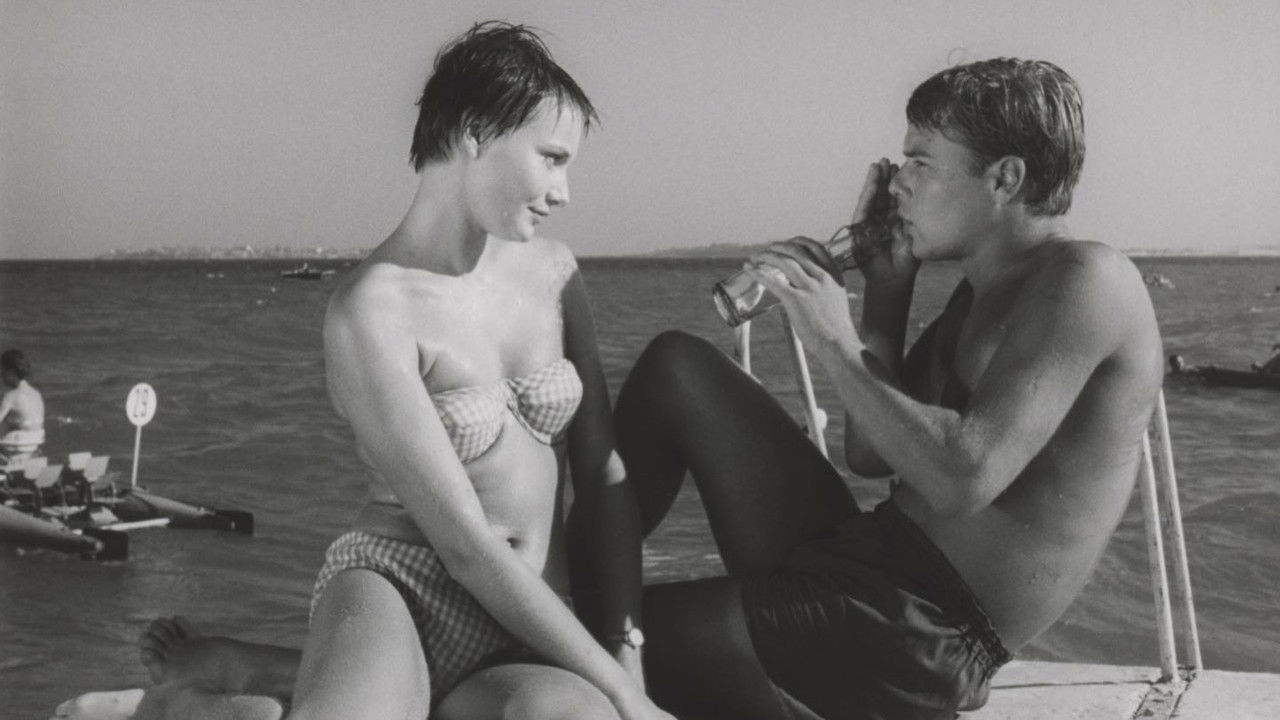 The Sun and the Shadow backdrop