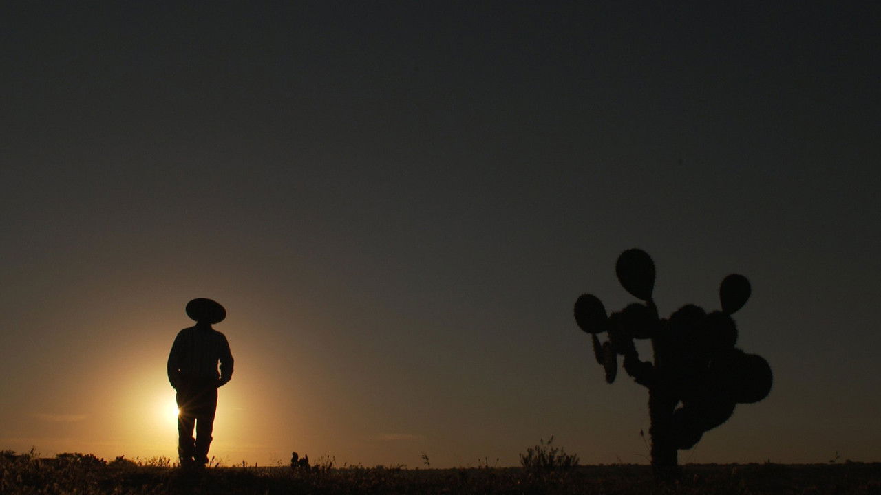 Six Degrees backdrop