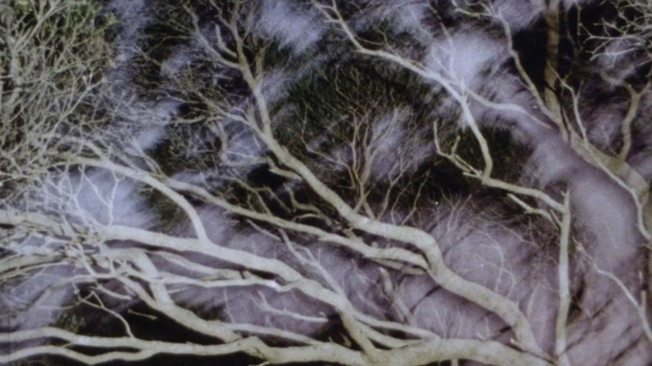 The Land at Night backdrop