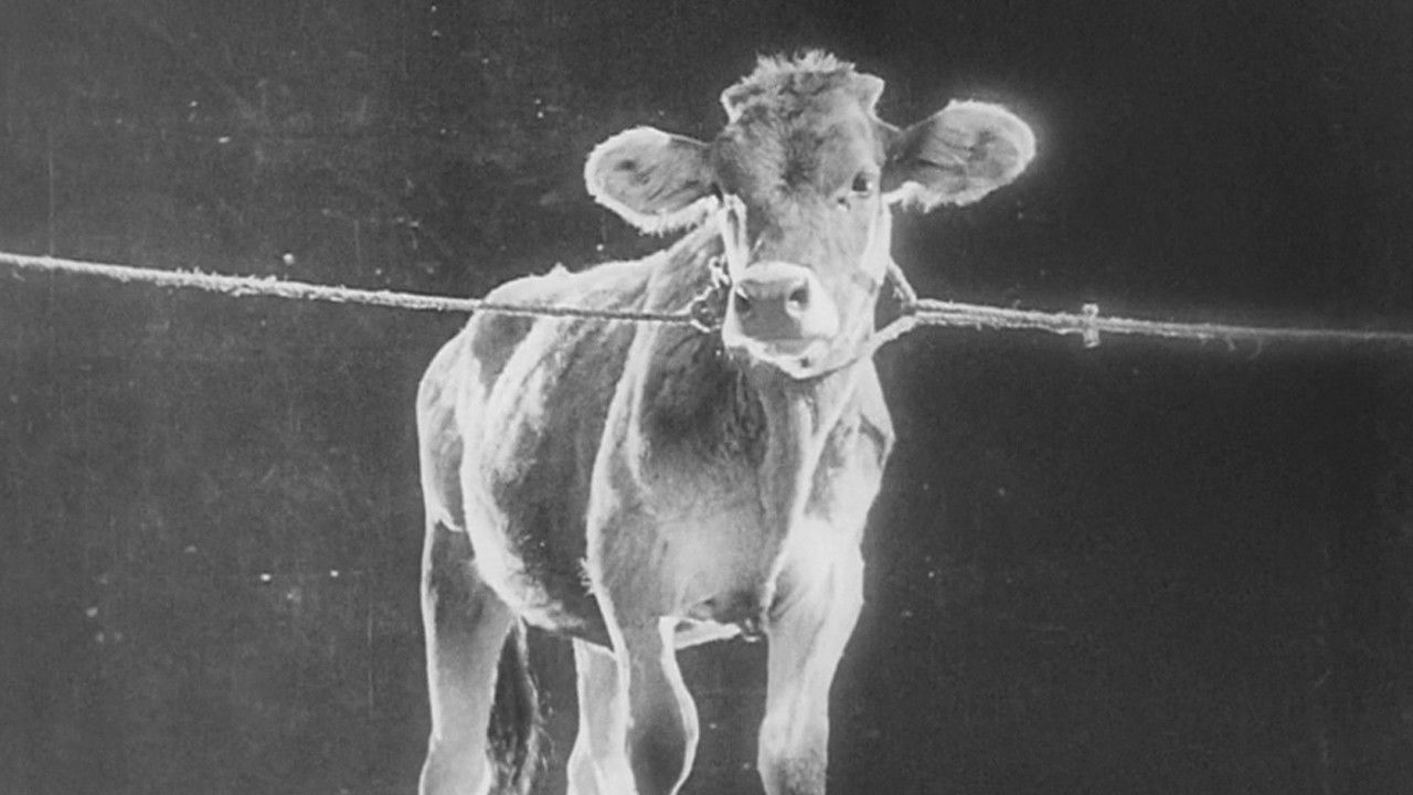 The General Line backdrop