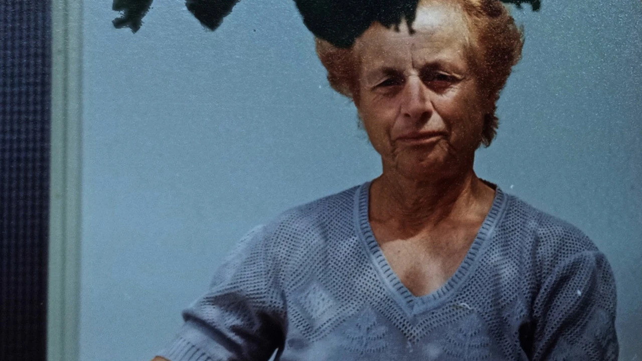 In the Land of Traumas backdrop