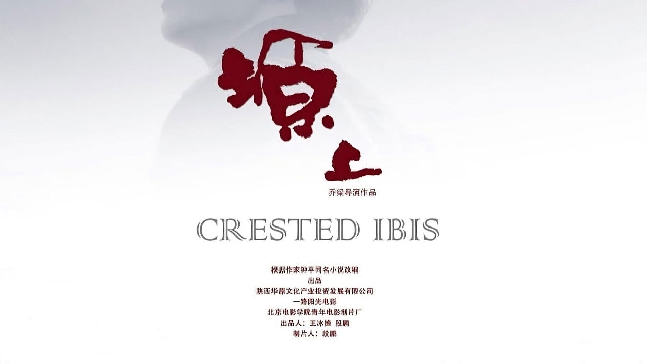 Crested Ibis backdrop