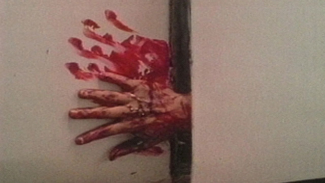 38 Especial backdrop