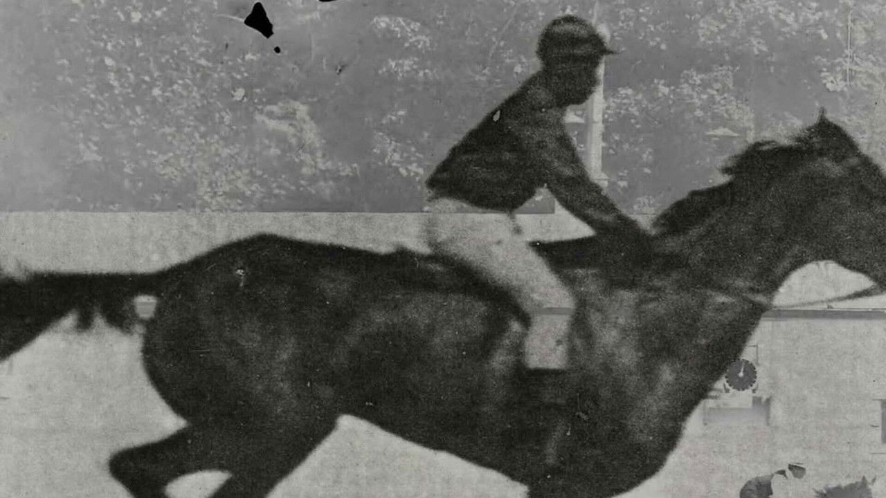 Una película (secreta) backdrop