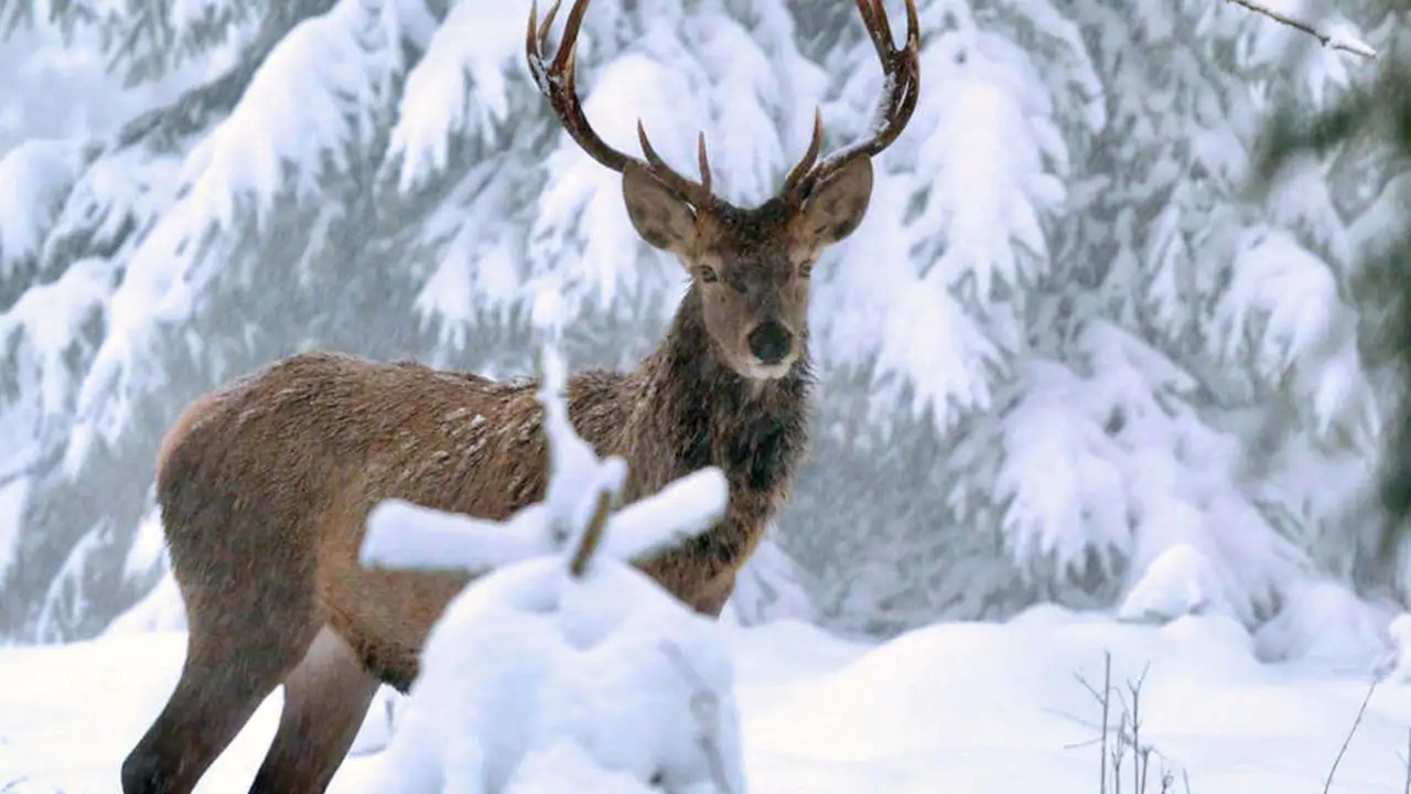 Des goûts et des couleurs backdrop