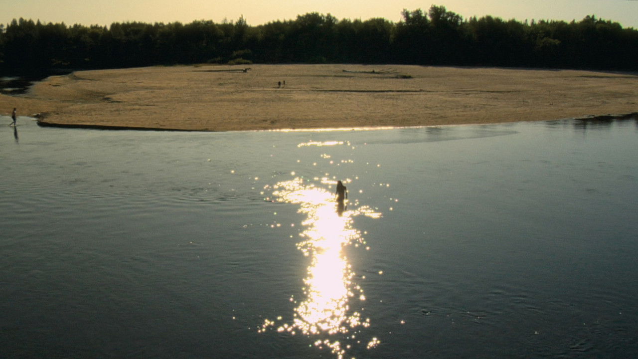 Comme des mouches backdrop