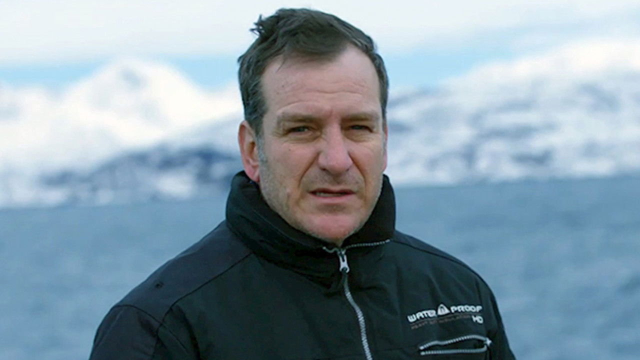 Till the edge: swim with a whale backdrop