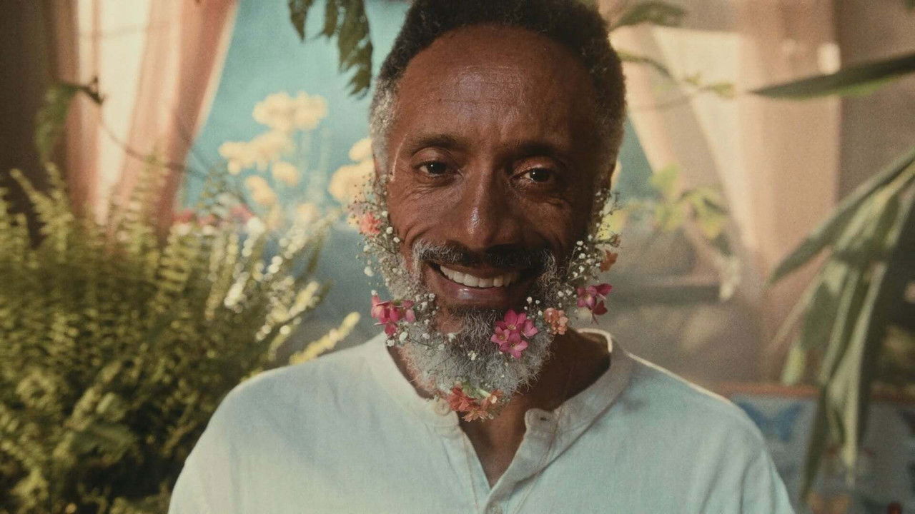 The Gentle Flutter of the Butterflies backdrop