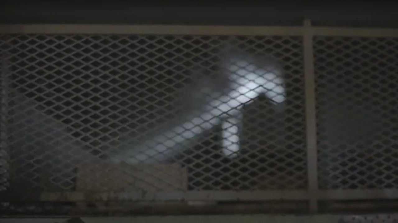 Érase una vez en Virreyes backdrop