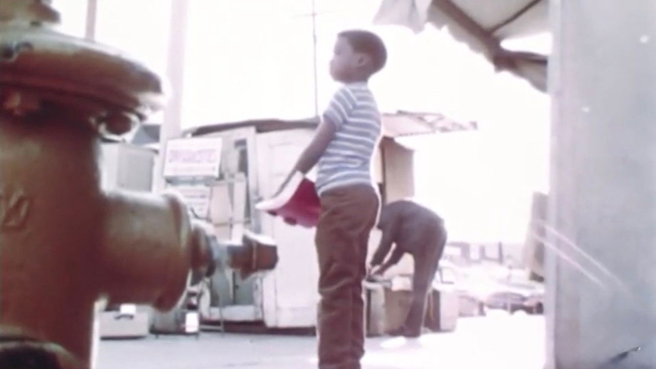 Evan's Corner backdrop