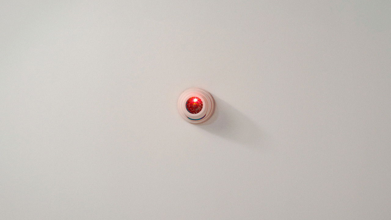 Blanco ne mente backdrop