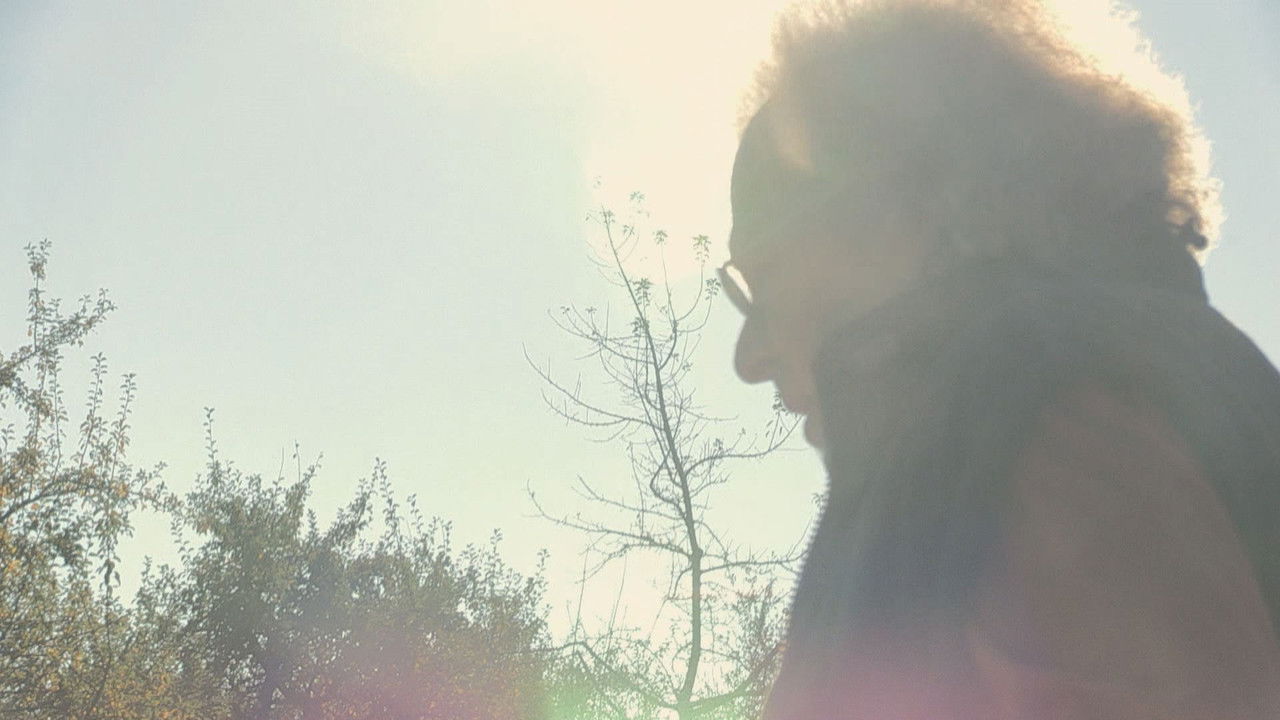 W. - What Remains of the Lie backdrop