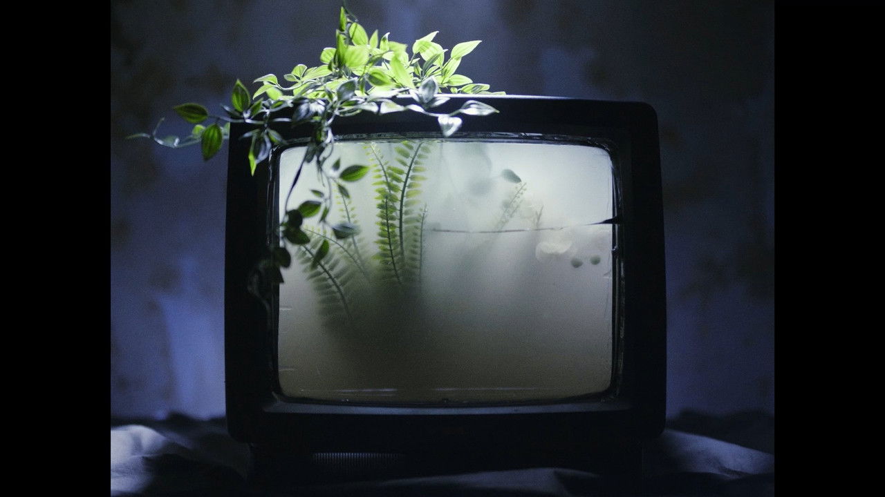 What the Water Gave Us backdrop