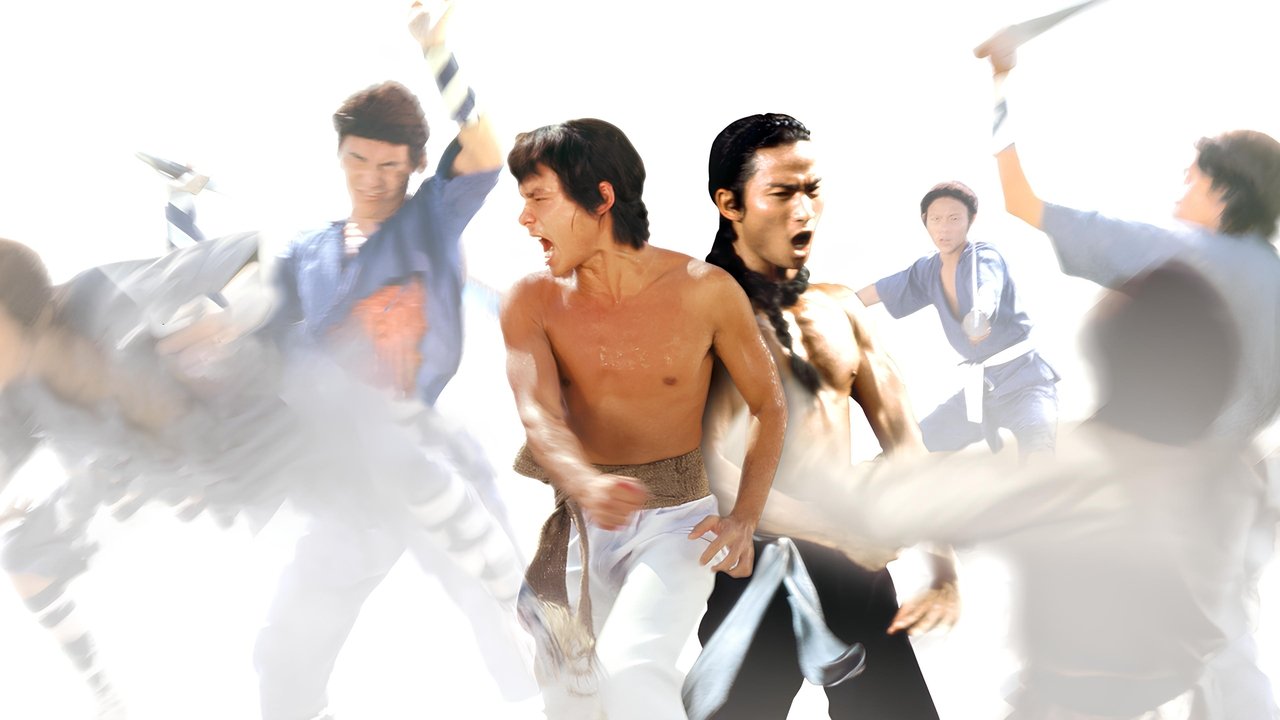 The Shaolin Avengers backdrop