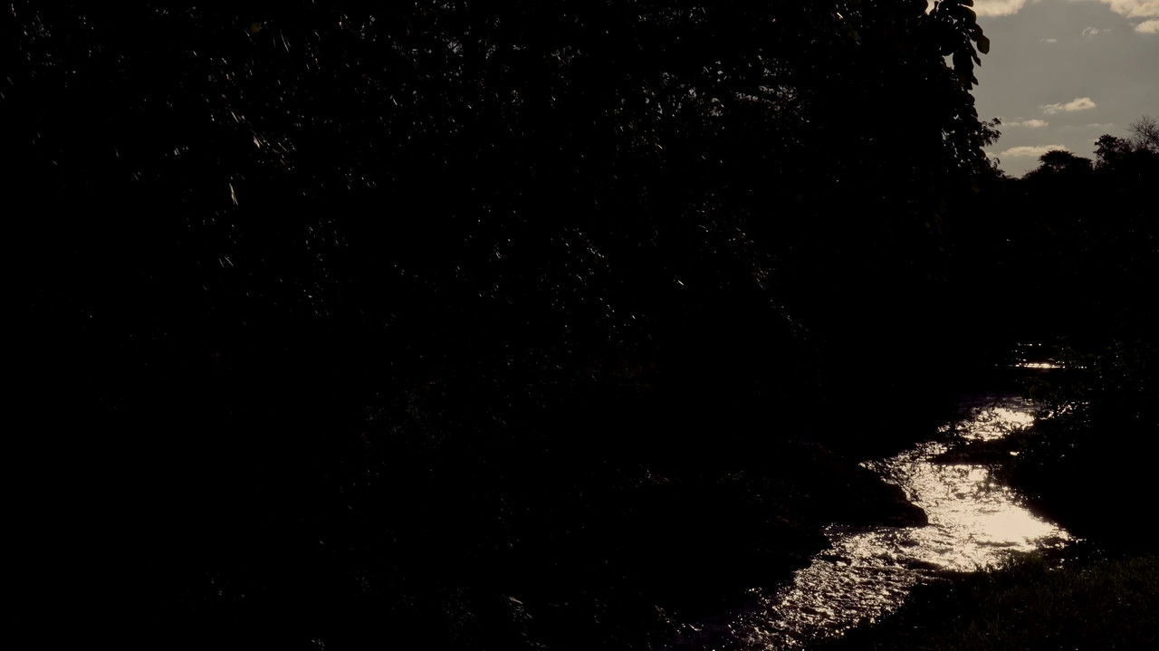 Dentro de Mim Passa Um Rio backdrop