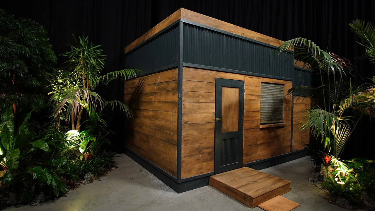 Ich bin ein Star - Die große Dschungelshow backdrop