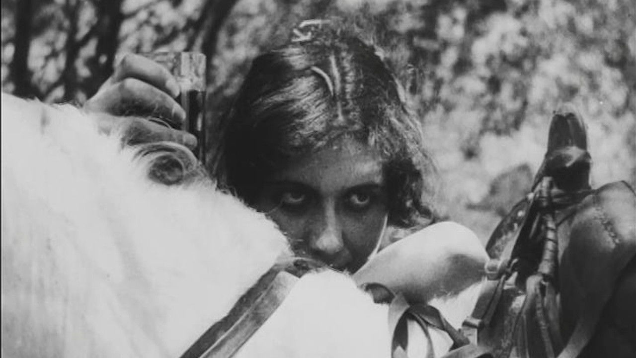 The Case of the Murder of Tariel Mklavadze backdrop