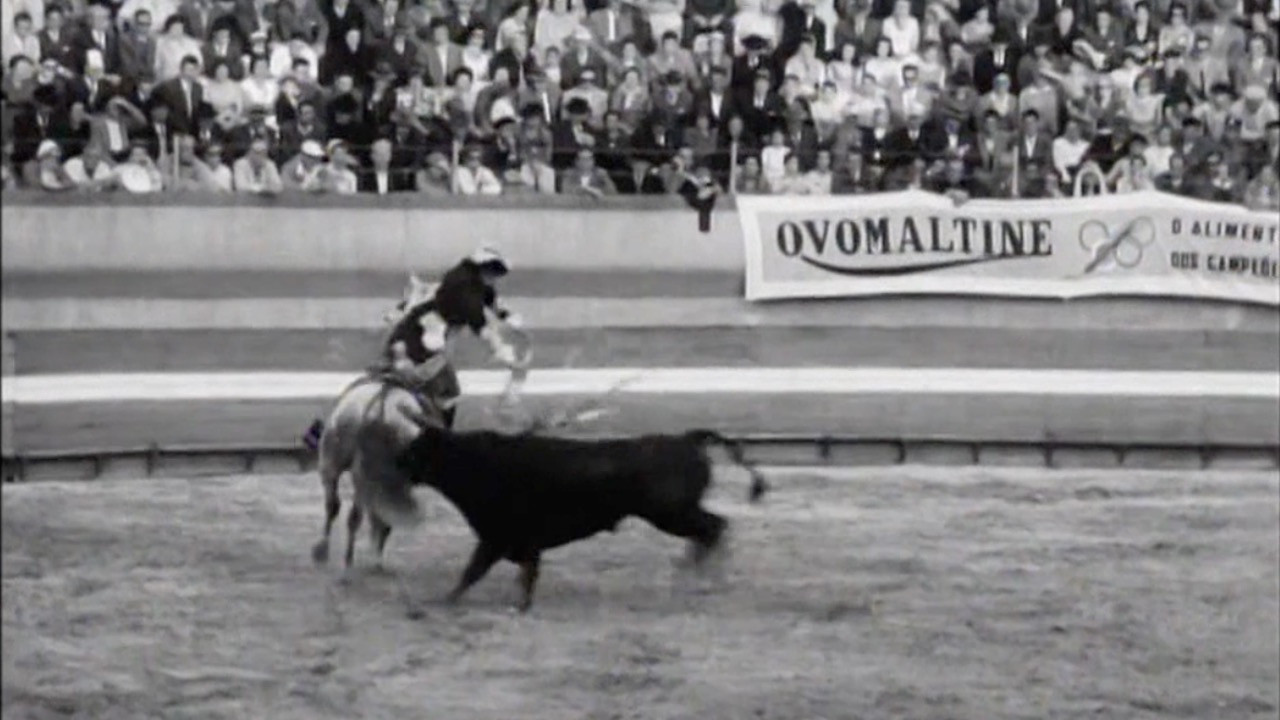 Born to Fight backdrop