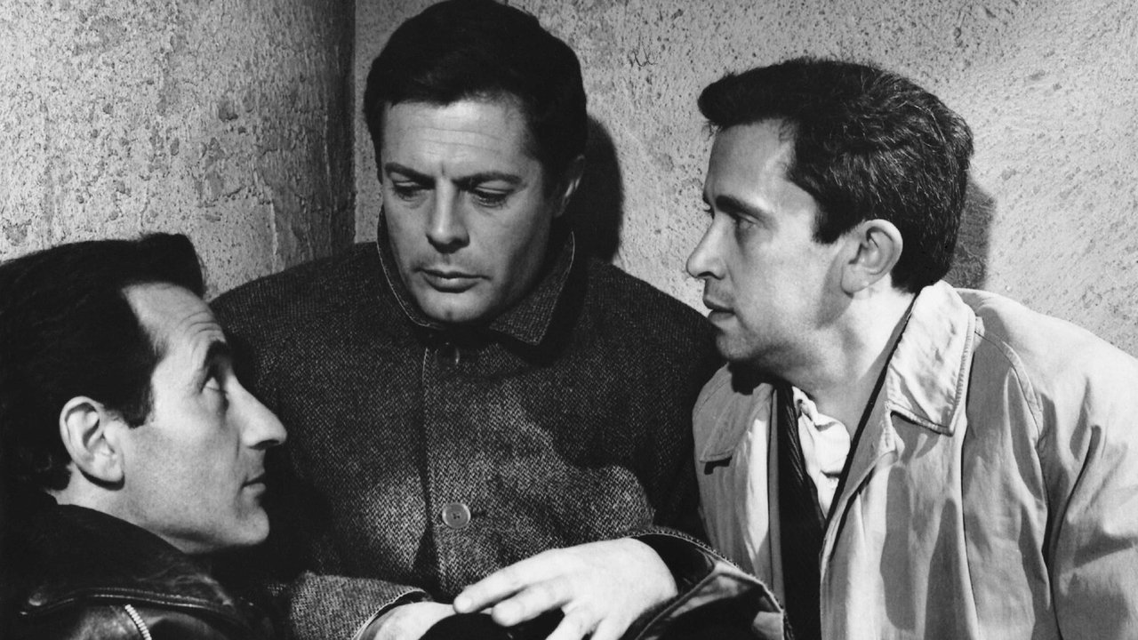 The Assassin backdrop