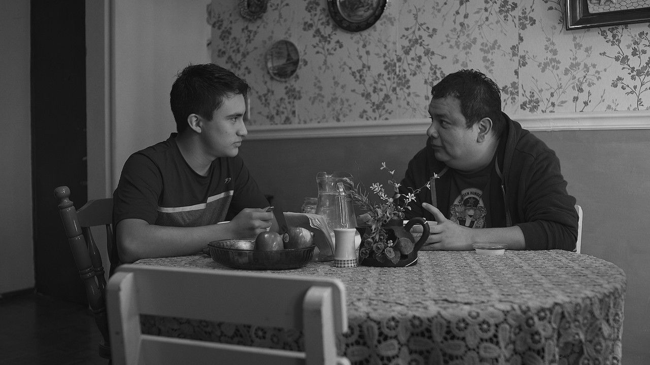 Ok, It's Fine backdrop