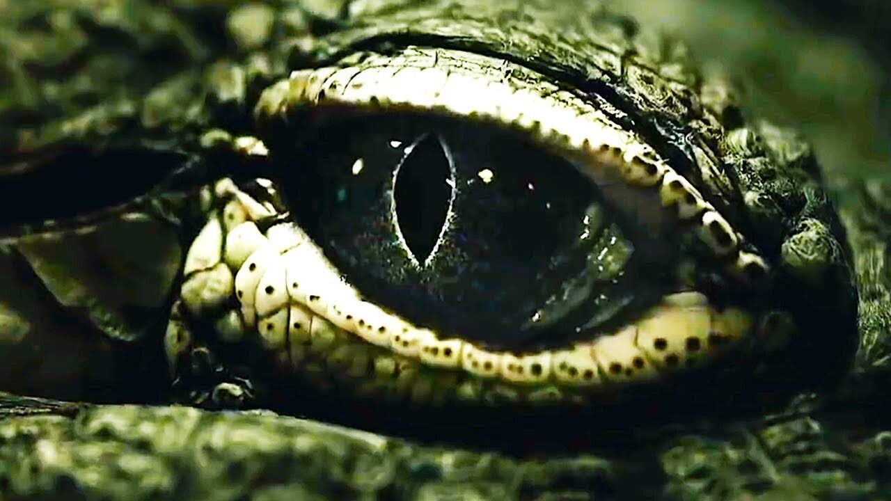 Saltwater: The Battle for Ramree Island backdrop