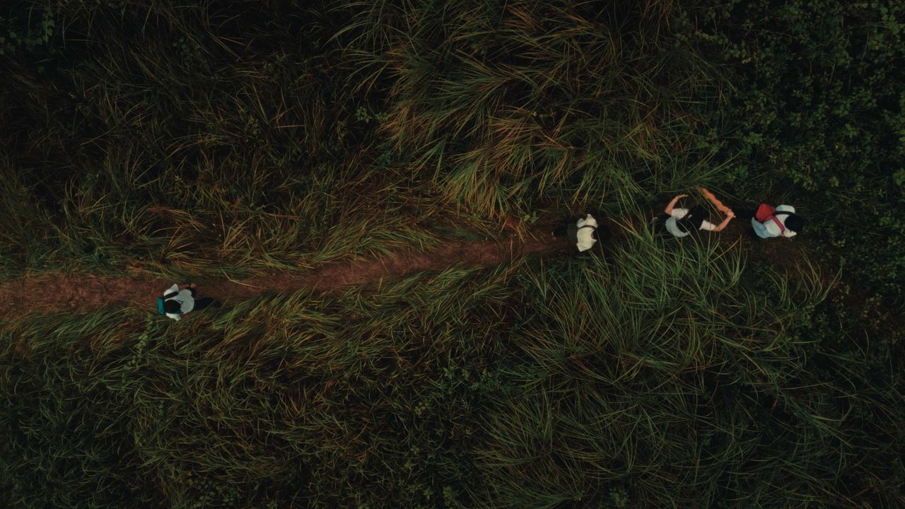 Elephant Paths backdrop