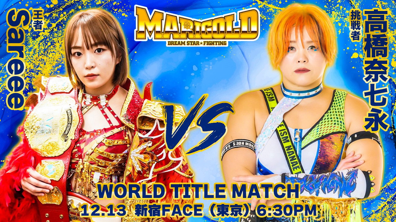 Marigold Winter Wonderful Fight 2024 ~ Day 6 backdrop