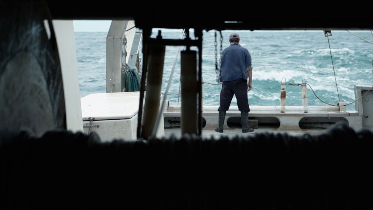 Hidden Tides backdrop