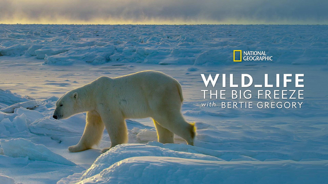Wild Life: The Big Freeze backdrop