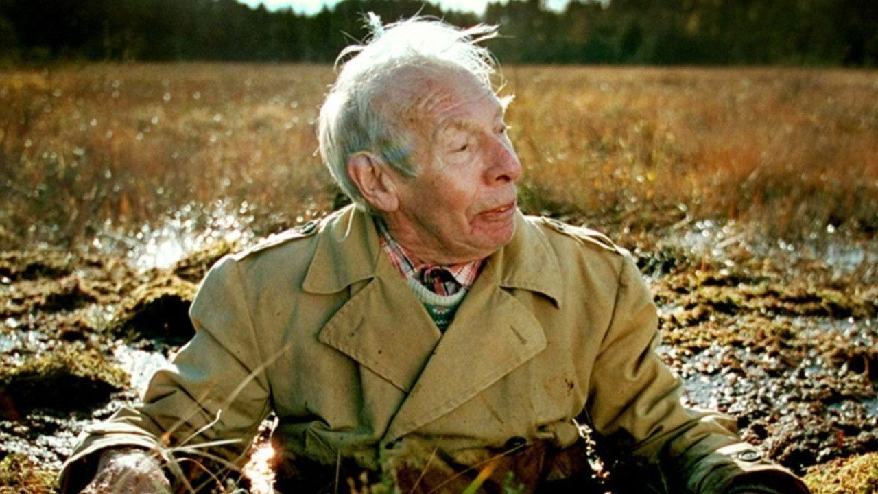 Most People Live in China backdrop