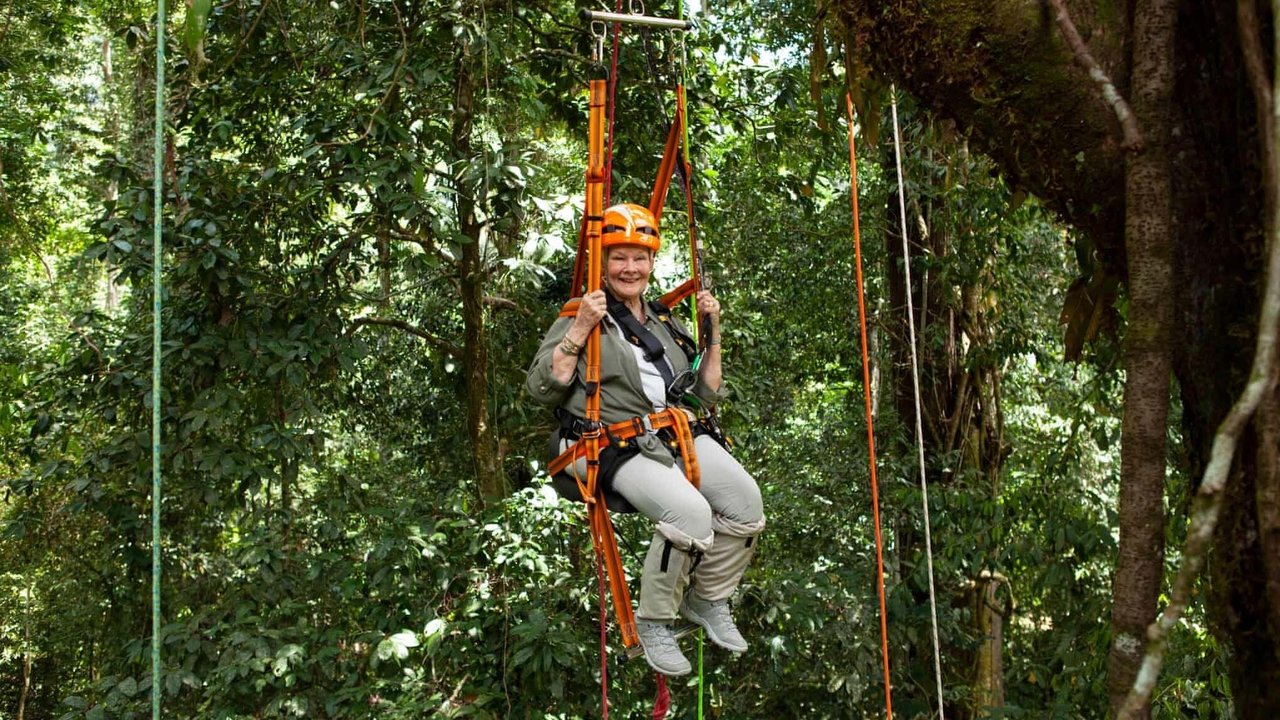 Judi Dench's Wild Borneo Adventure backdrop
