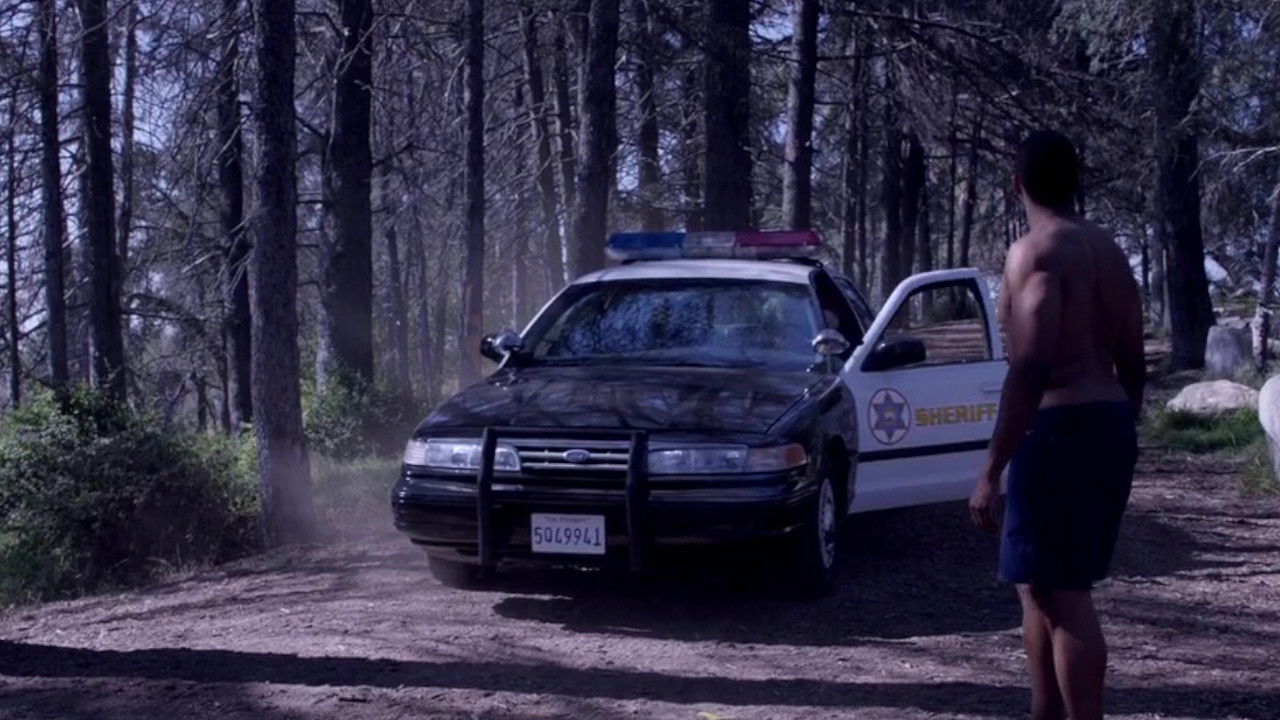 5th of July backdrop