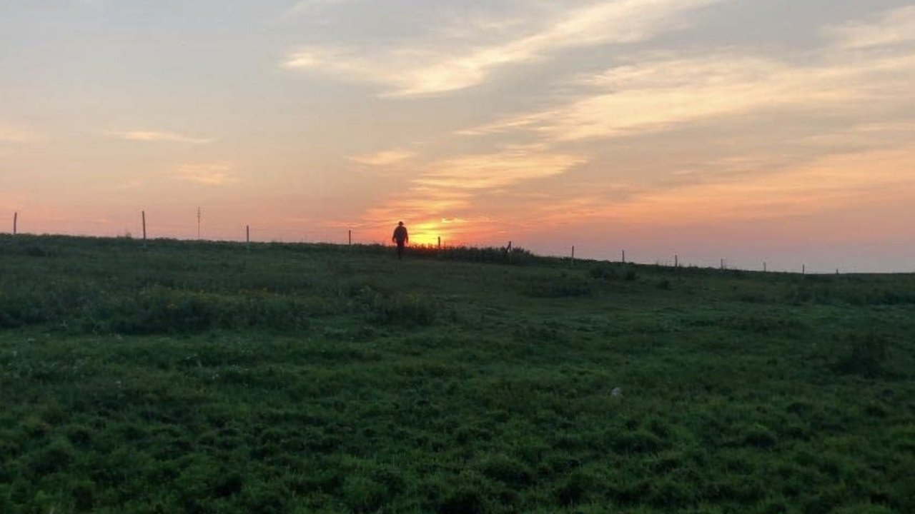 They Who Surround Us backdrop