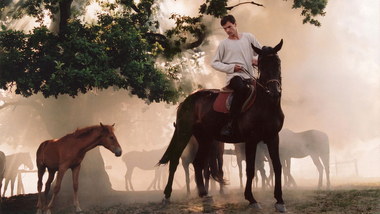 The Noise of the Wind backdrop