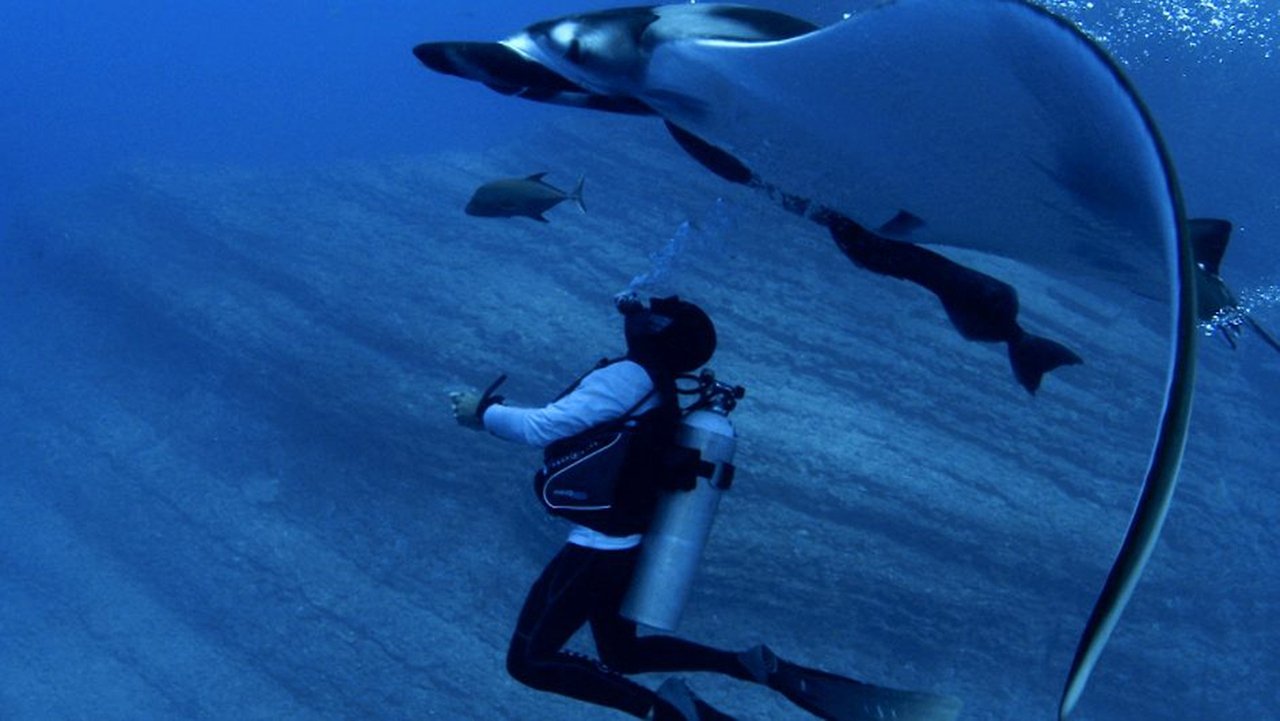 Alien Contact backdrop