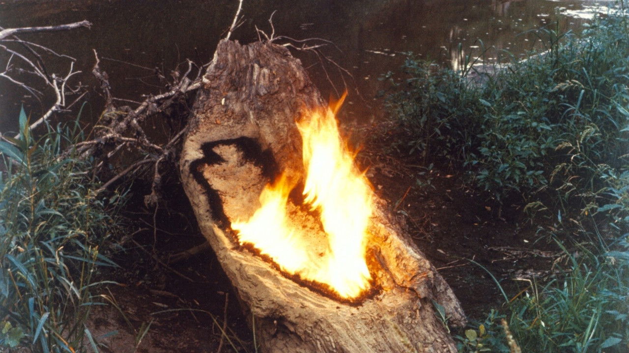 Ana Mendieta: Fuego de Tierra backdrop