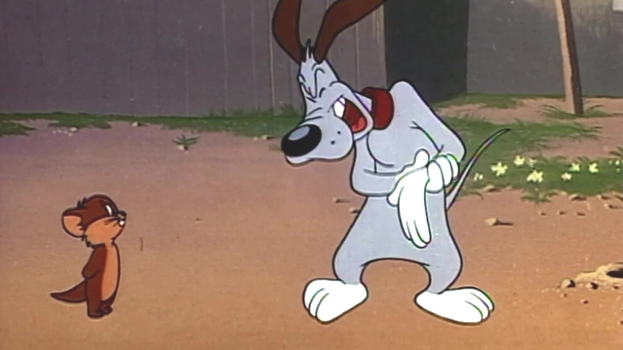 A Bone for a Bone backdrop