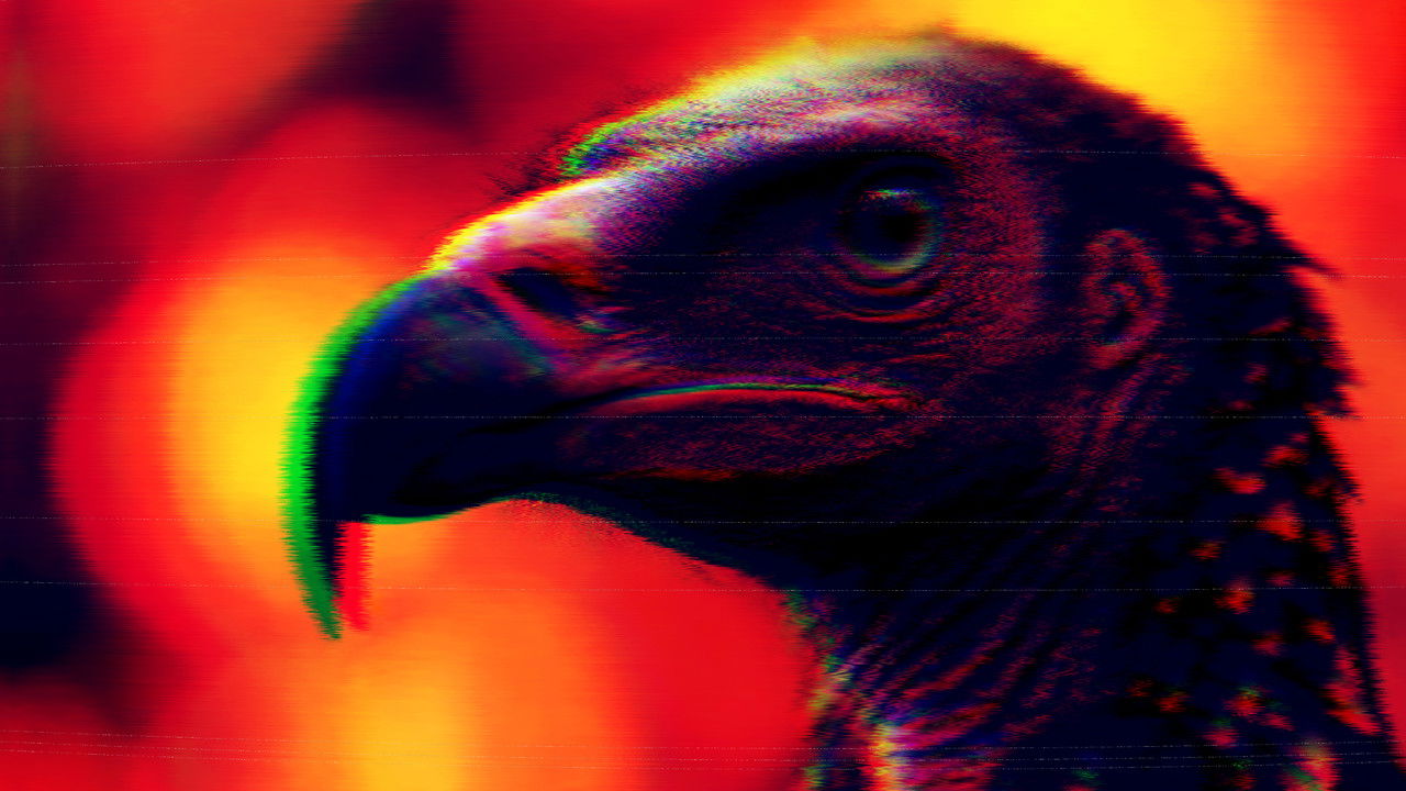 The Uncle Donald Spit Olympics backdrop