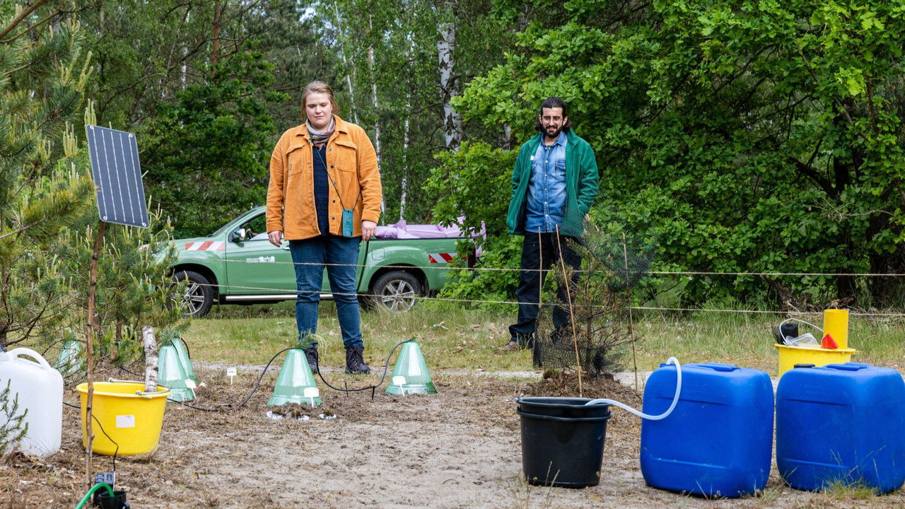 Großstadtförsterin – Berliner Besonderheiten backdrop