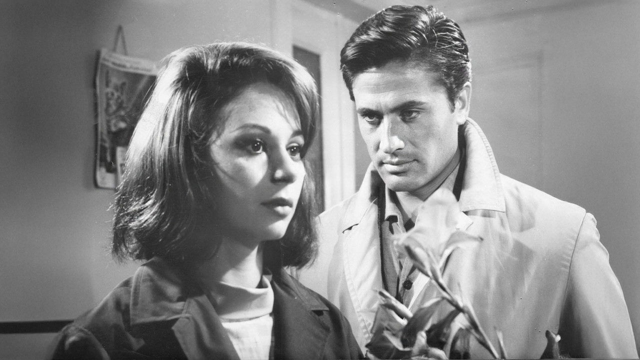 Cehennem Arkadaşları backdrop