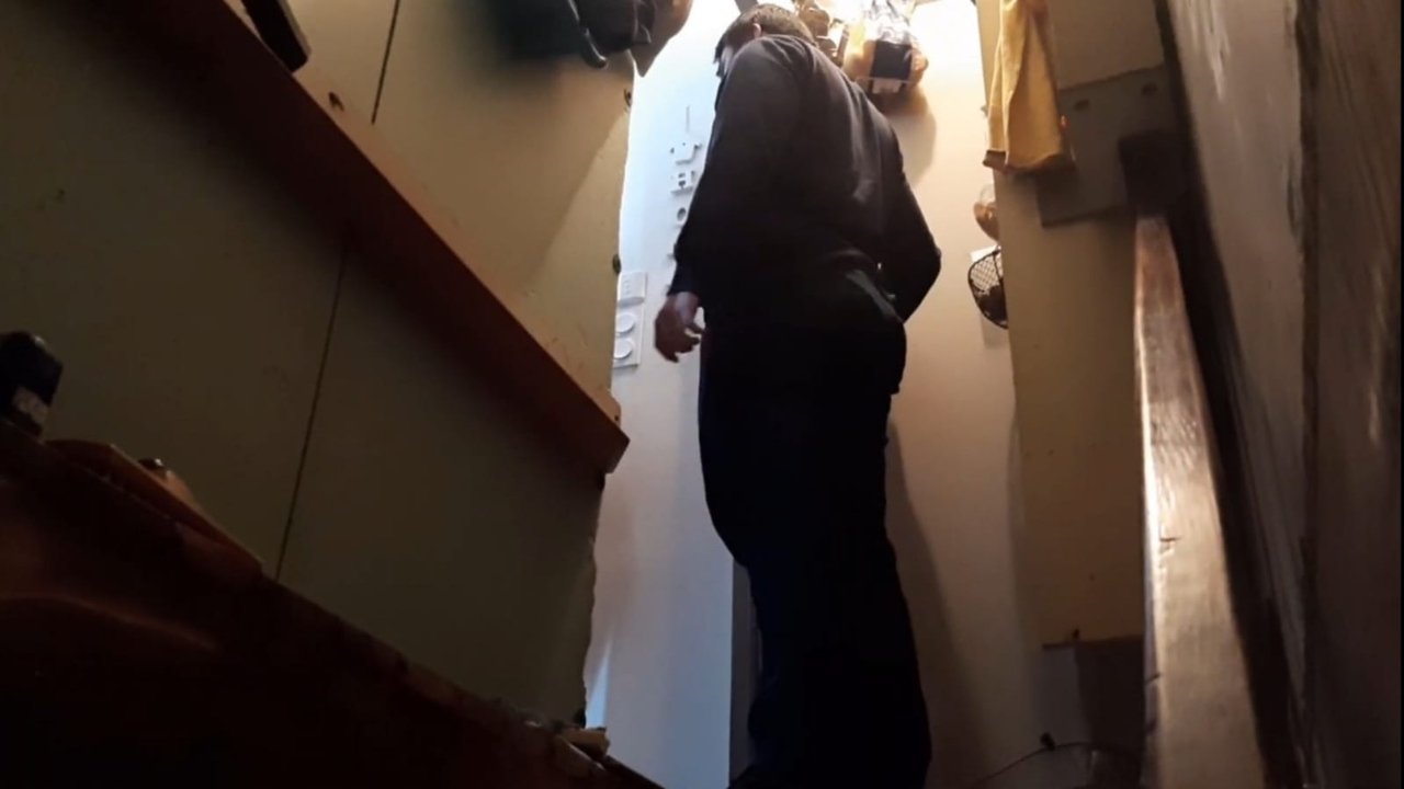 The Silent Forest backdrop