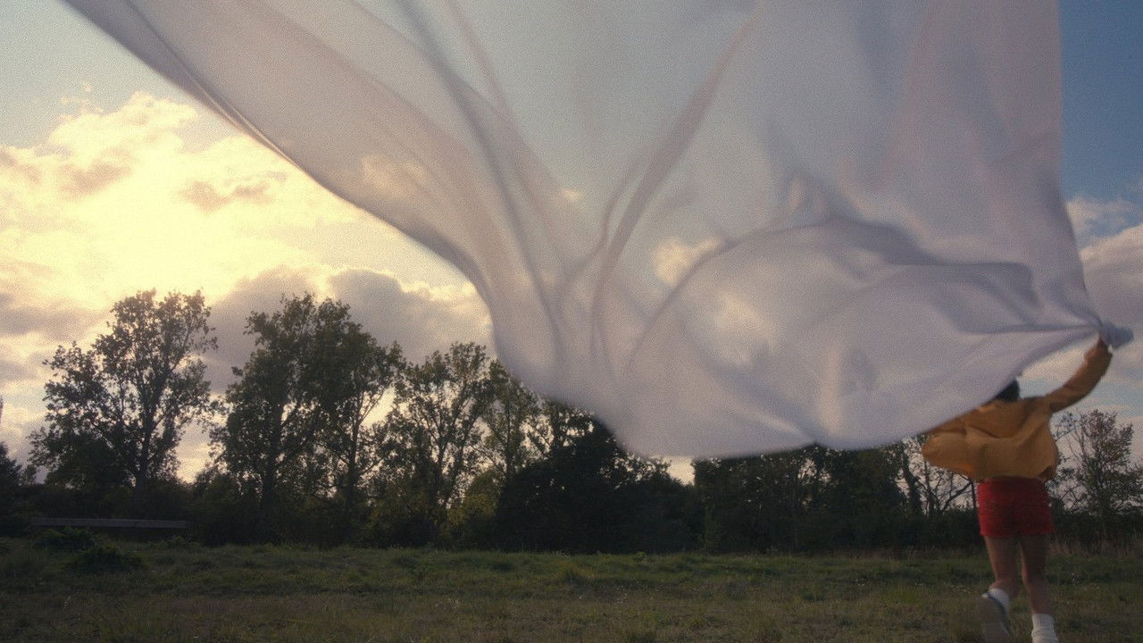 Would You Rather backdrop