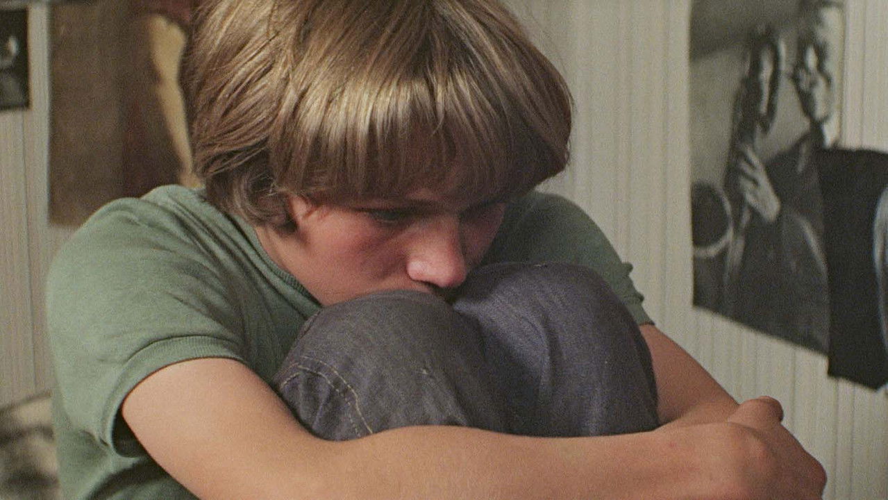 Woodpeckers Don't Get Headaches backdrop